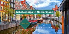 Scholarships in Netherlands 2024