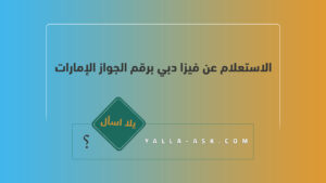 الاستعلام عن فيزا دبي برقم الجواز الإمارات