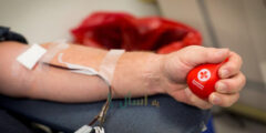 شروط التبرع بالدم .. والمراحل التي يمر بها المتبرع
